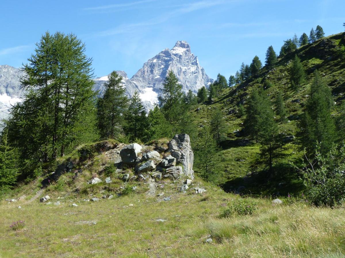 Le Petit Refuge Cervinia Lejlighed Breuil-Cervinia Eksteriør billede