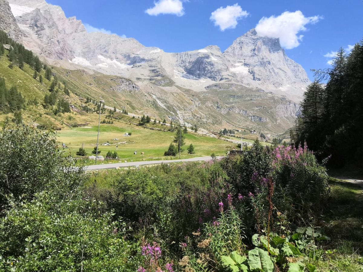 Le Petit Refuge Cervinia Lejlighed Breuil-Cervinia Eksteriør billede