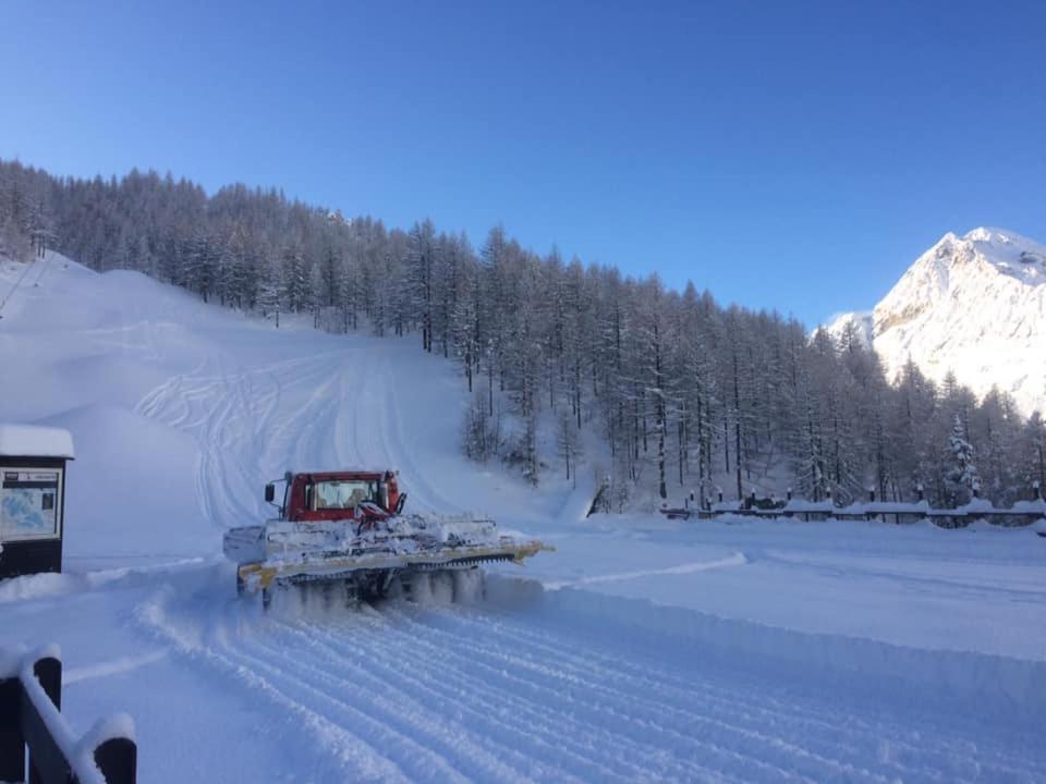 Le Petit Refuge Cervinia Lejlighed Breuil-Cervinia Eksteriør billede