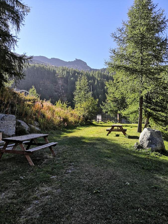 Le Petit Refuge Cervinia Lejlighed Breuil-Cervinia Eksteriør billede