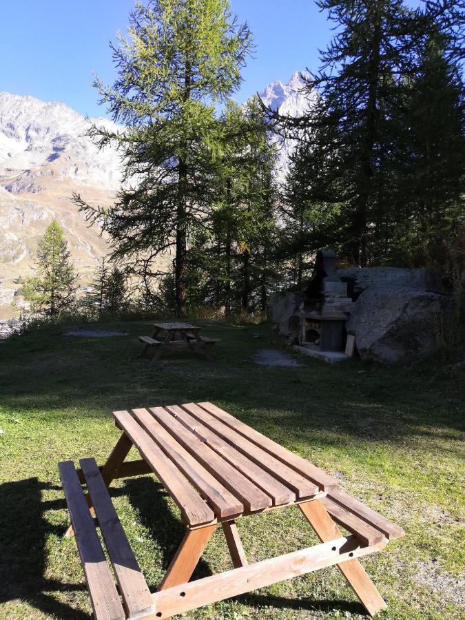 Le Petit Refuge Cervinia Lejlighed Breuil-Cervinia Eksteriør billede