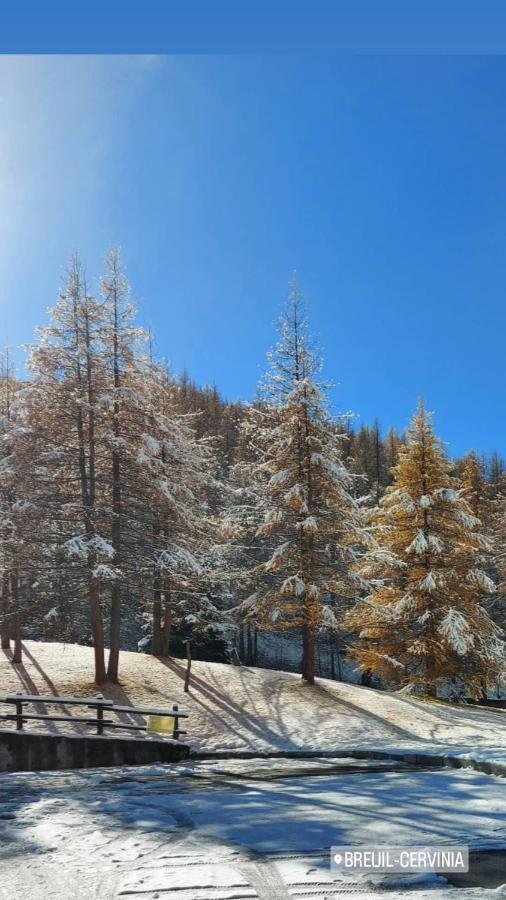 Le Petit Refuge Cervinia Lejlighed Breuil-Cervinia Eksteriør billede