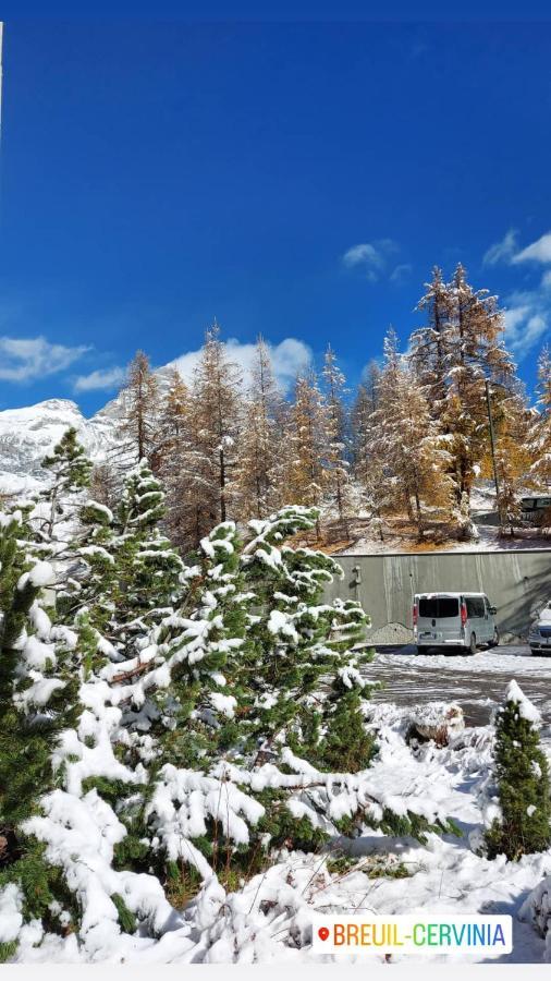 Le Petit Refuge Cervinia Lejlighed Breuil-Cervinia Eksteriør billede